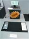 Finetech+Japan+2008%3A+Hitachi+e%2Dpaper+for+use+in+handset+shells