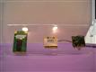 Computex 2009: Quanta offers integrated wireless solutions for handheld devices and netbooks