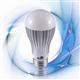 Photonics+Festival+2010%3A+ALT+AC+Dimmable+A19+LED+Bulb