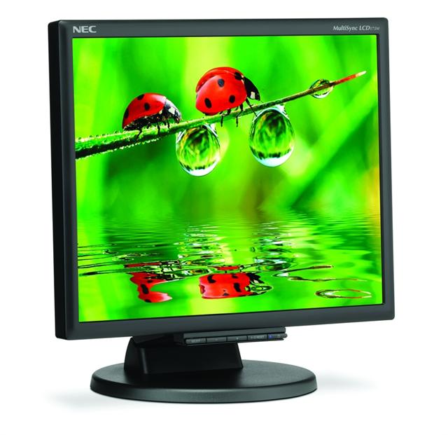 NEC 17-inch MultiSync LCD175M monitor