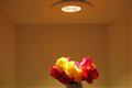 Customers can choose from different shape of LED light bulbs