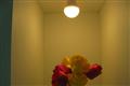 Osram LED light bulbs with different shades