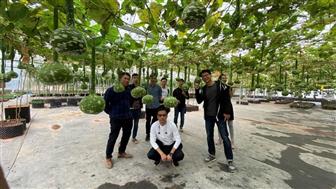 Hugreen founder and CEO Clement Lee (standing front right)