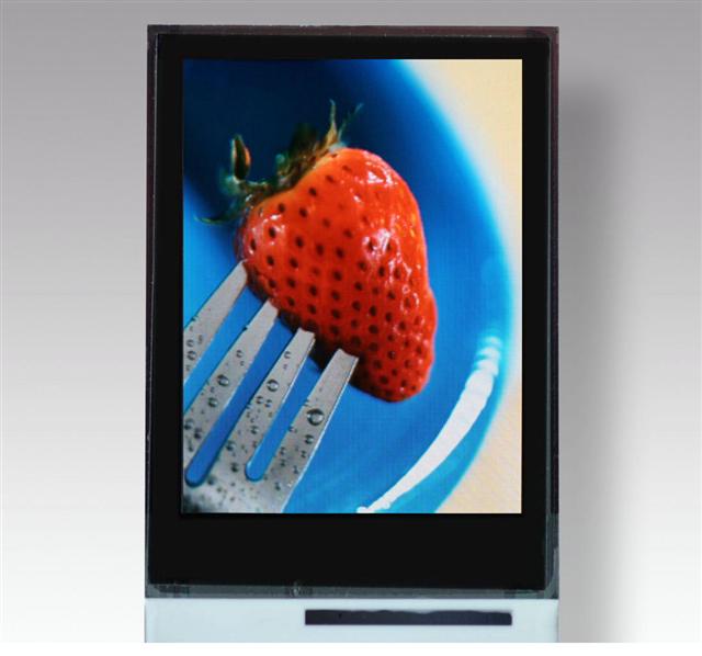 TMDisplay's 2.2-inch OLED panel